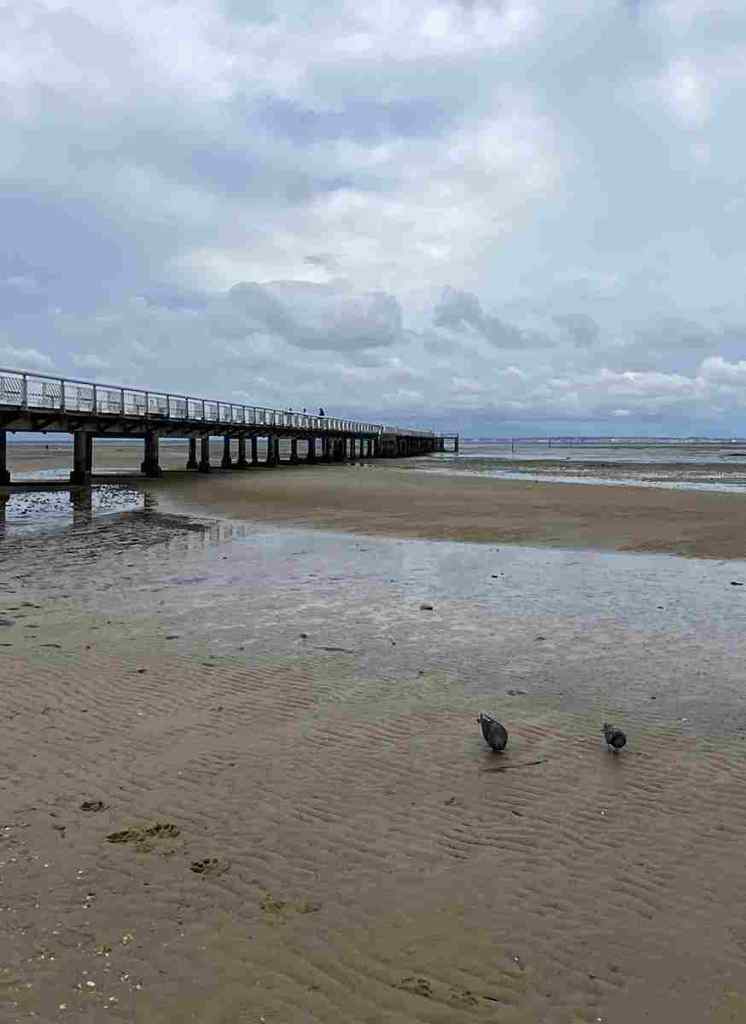 >>>