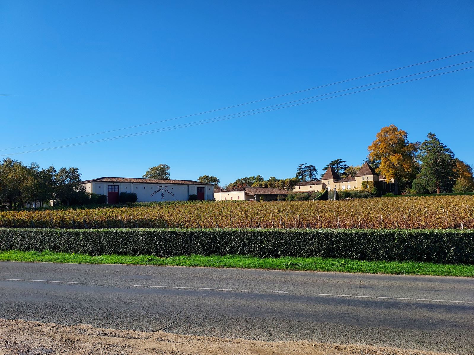 Château Carbonnieux