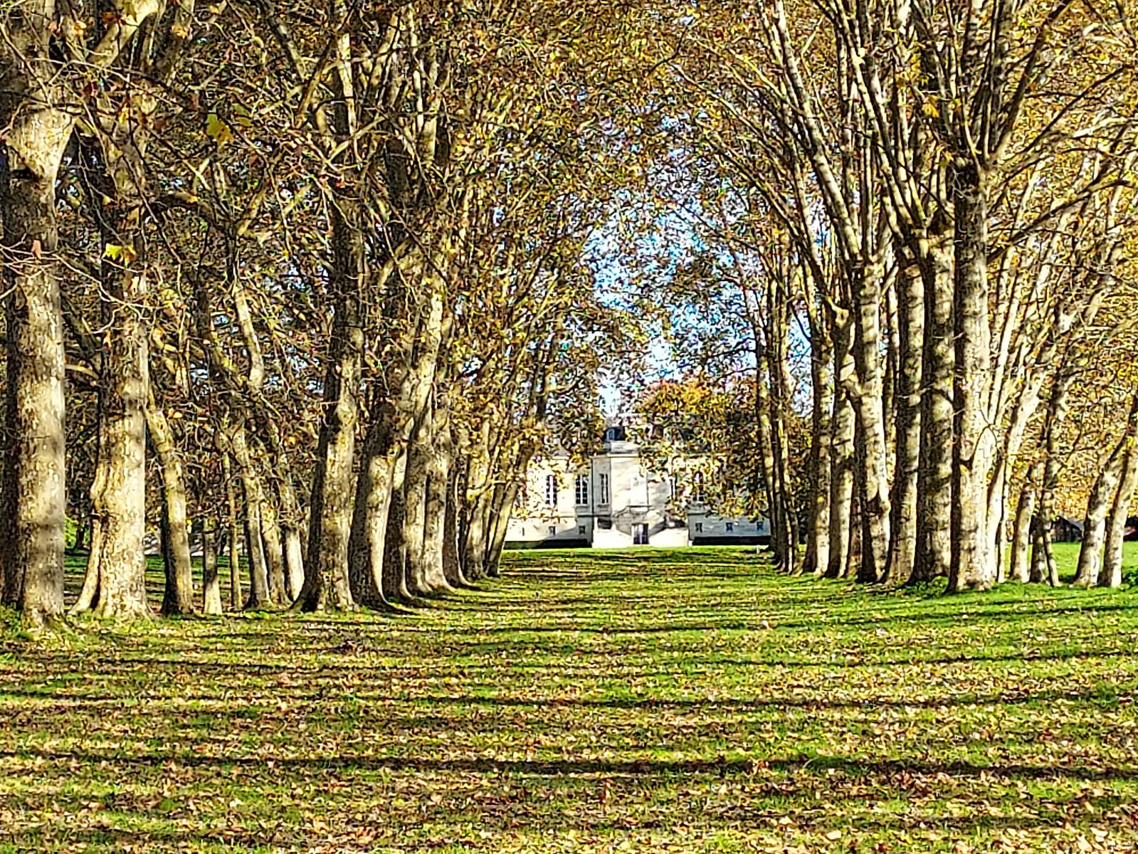 Vue du parc  du château "la Louvière"