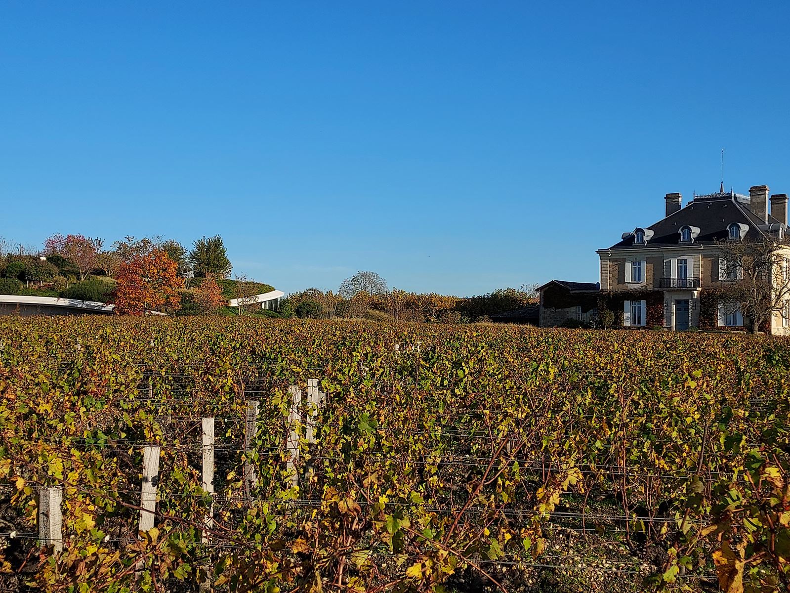 Dernière perceptive de Haut Bailly