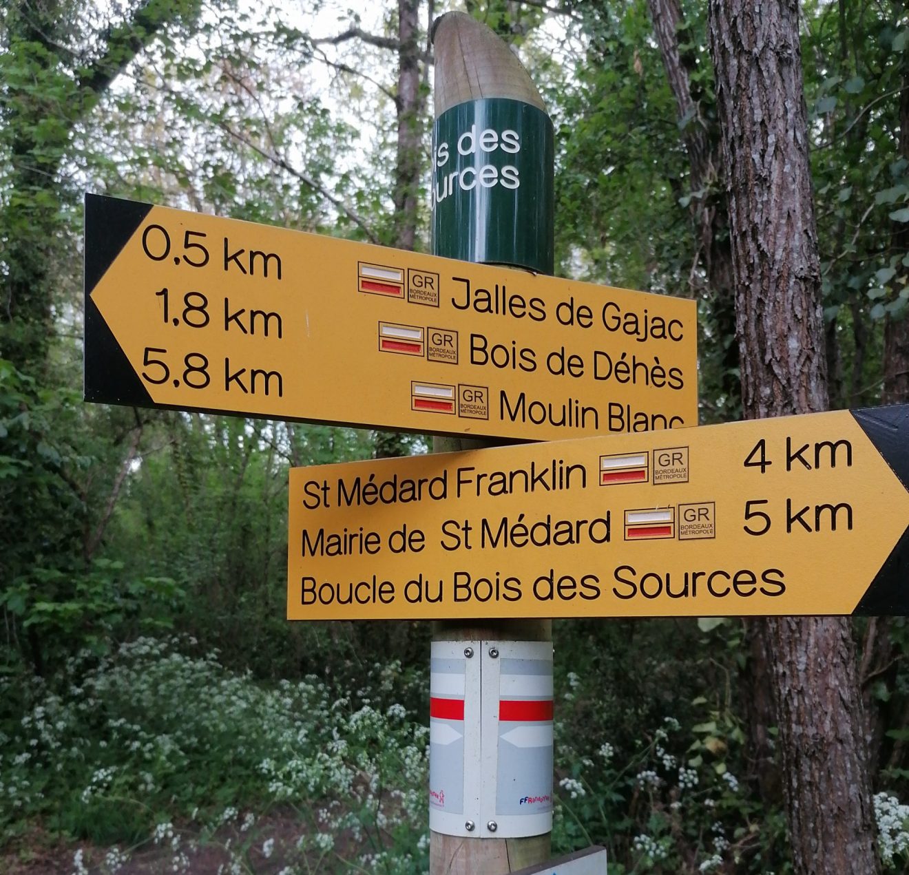 Marche du 2 Juin - Boucle Saint Médard - Bois du Bourdieu - Bois des Sources