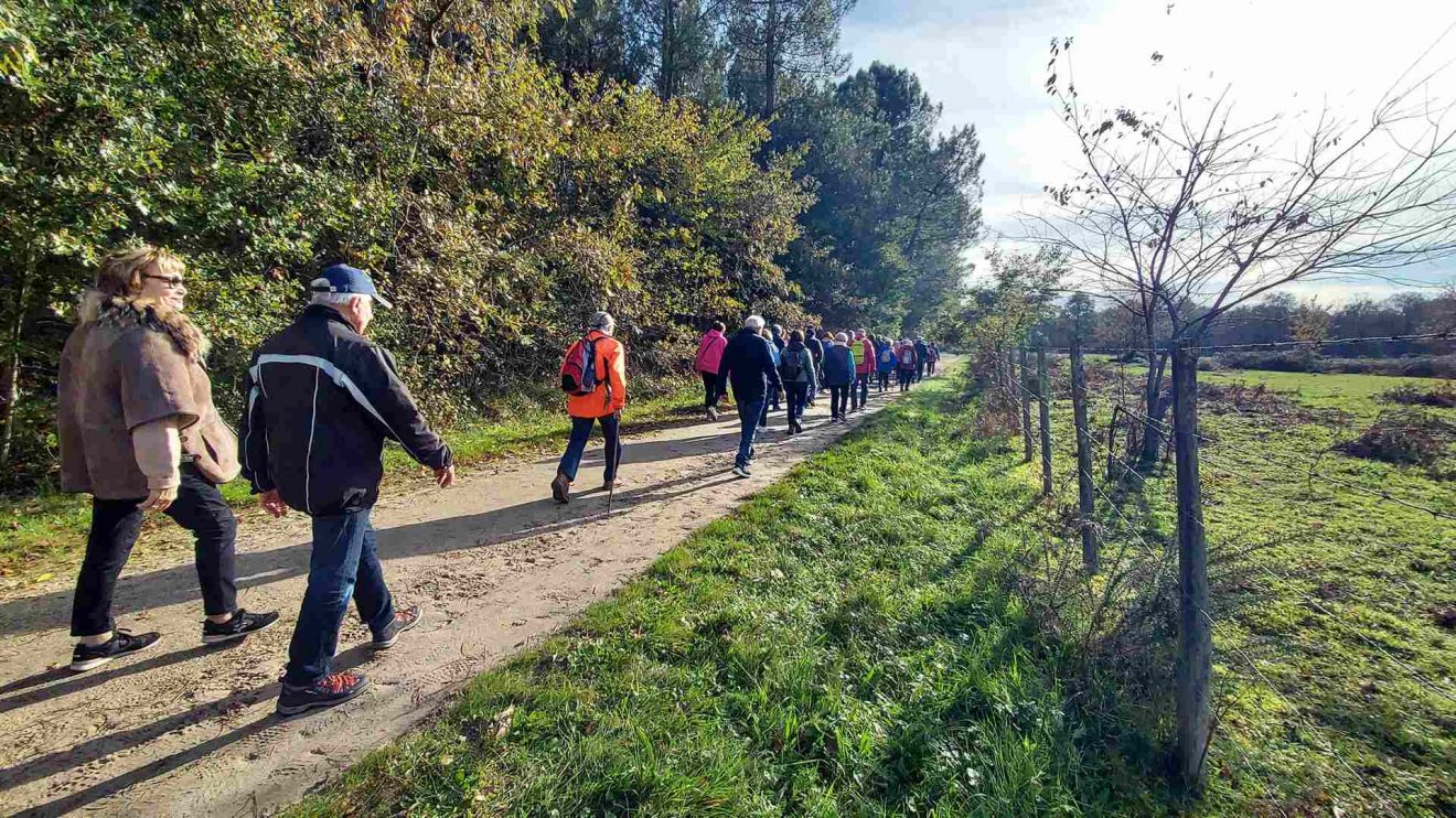 Marche du 14 Nov. - Saint Médard en Jalles - Magudas
