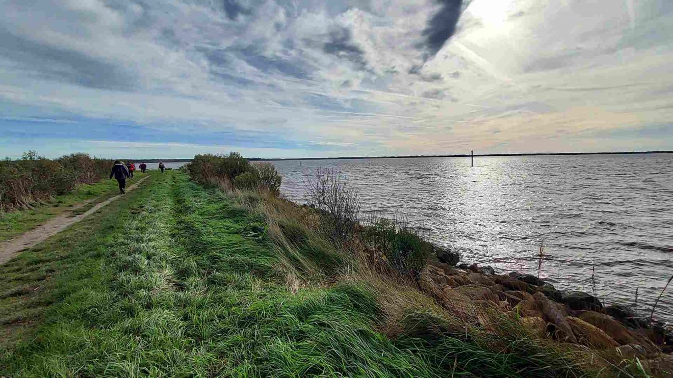 Marche à la journée - Audenge  Domaine de Graveyron - 23 Nov. 24