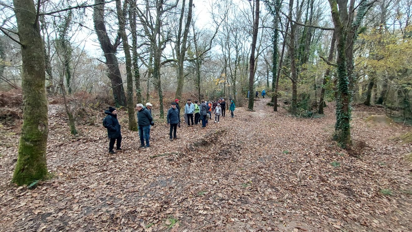 Du Parc du Thil au Parc des Jalles.  5 Dec. 24