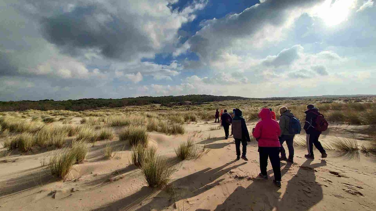 Marche à la journée - Carcans - Dec. 24