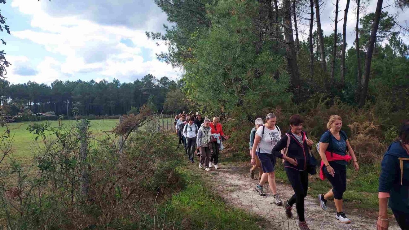 Marche du 25 Sept. 25 - Les Landes St Aubin du Médoc