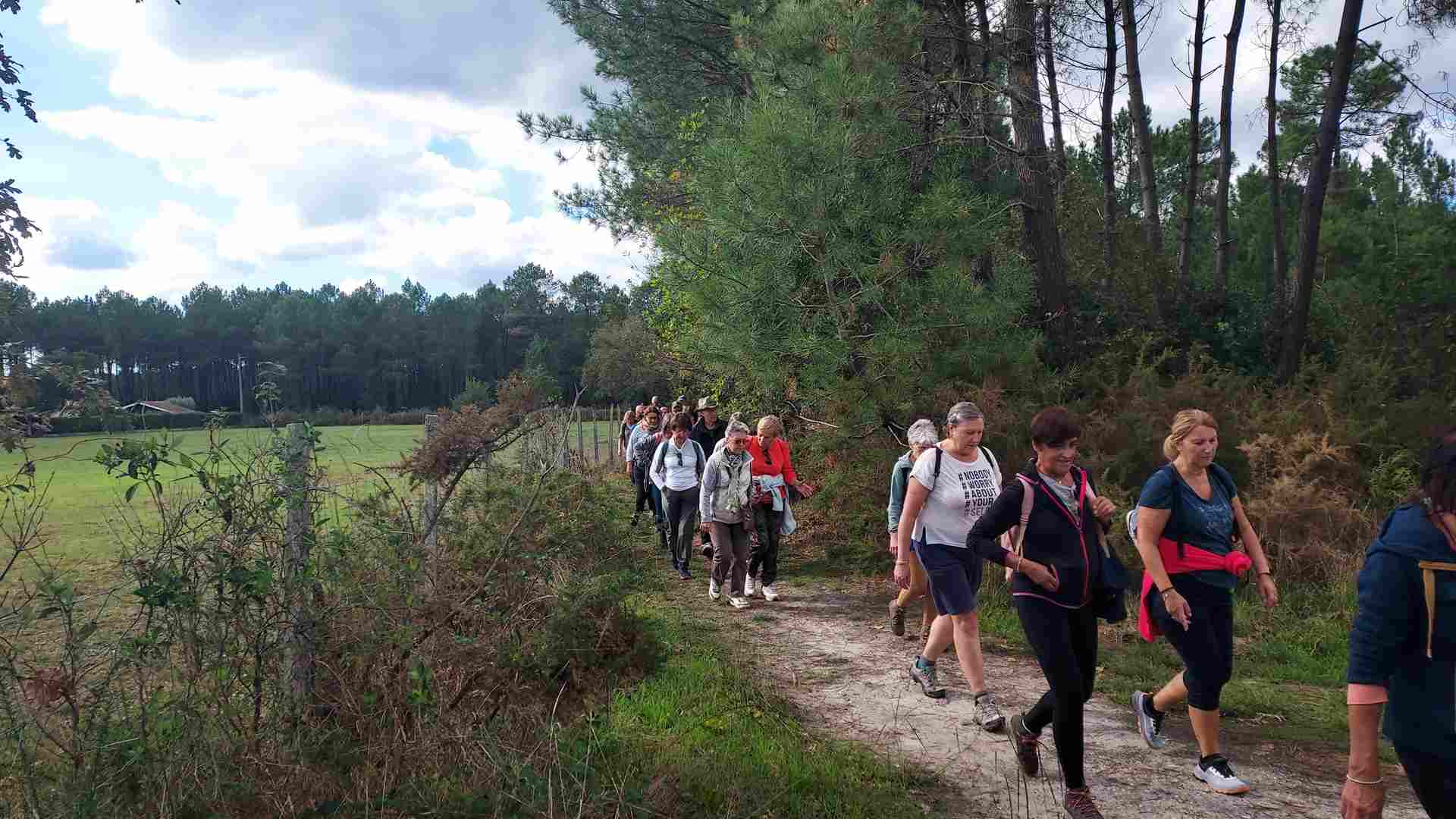 Lire la suite à propos de l’article Marche du 25 Sept. 25 – Les Landes St Aubin du Médoc