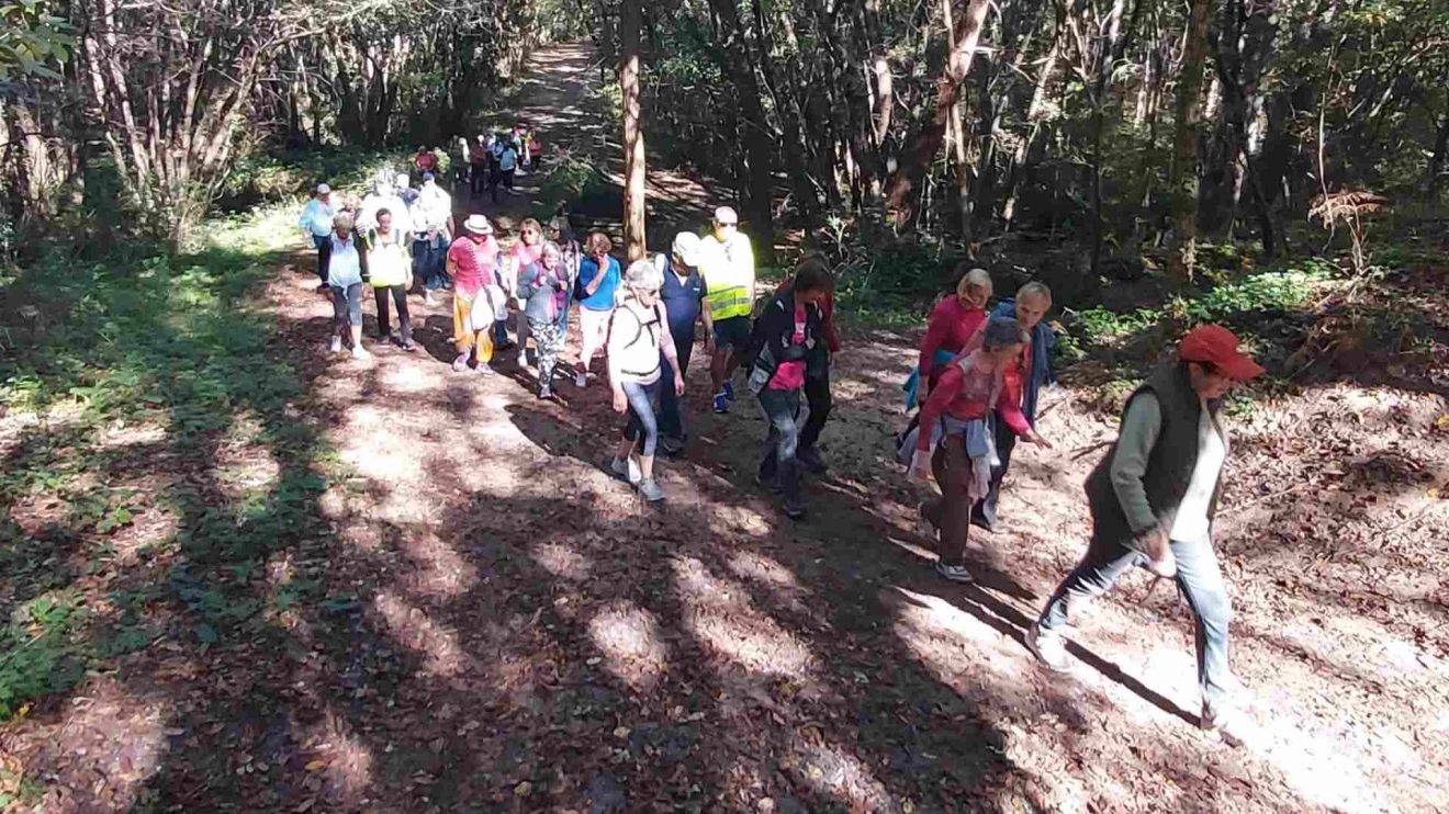 Marche d'entretien du Jeudi 16 Octobre.