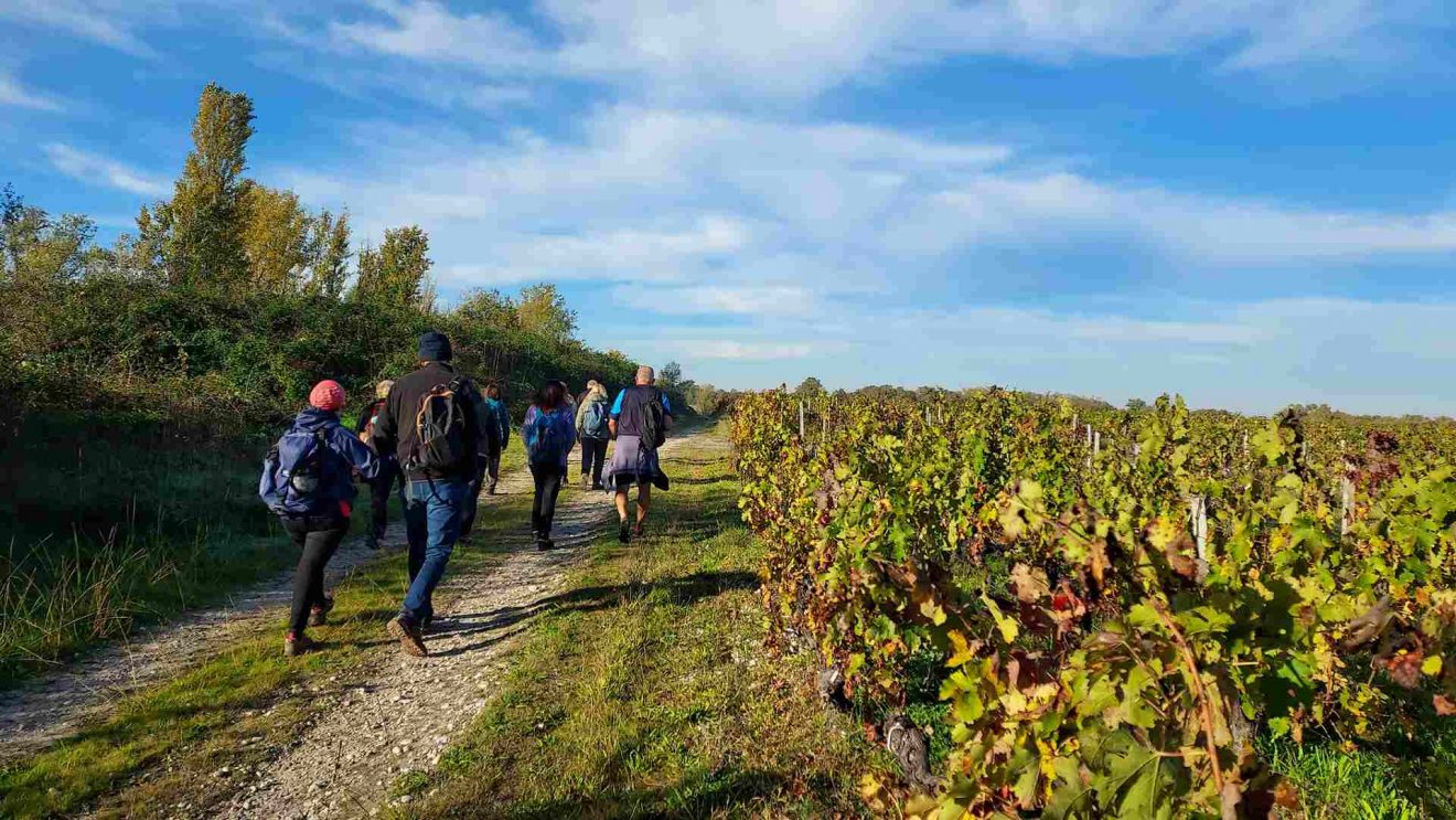 Marche à la journée du 18 Oct. 25 - Avensan