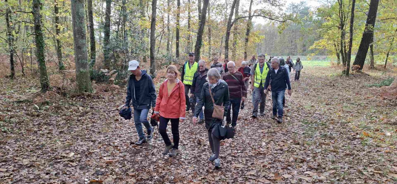 Marche d'entretien - Le Taillan Médoc
