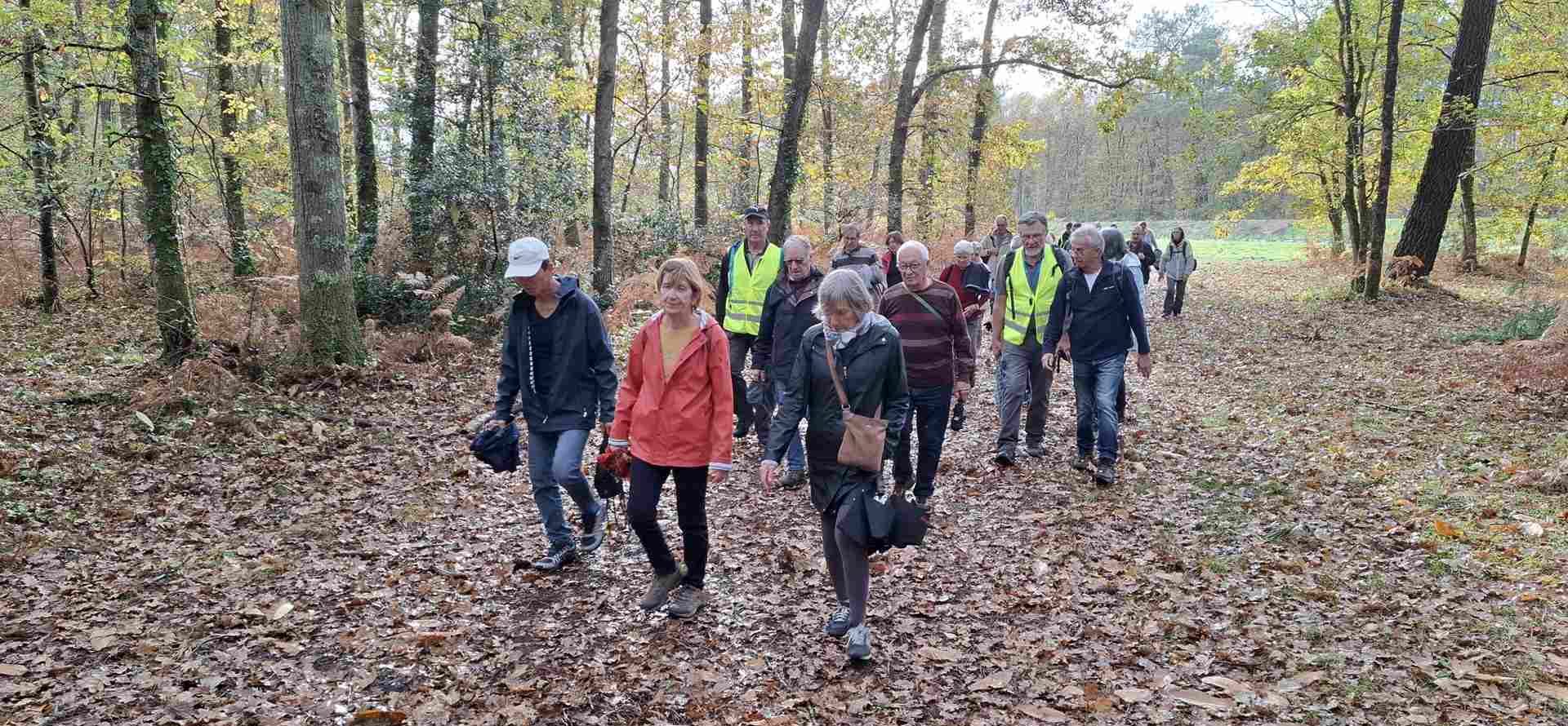 Lire la suite à propos de l’article Marche d’entretien – Le Taillan Médoc