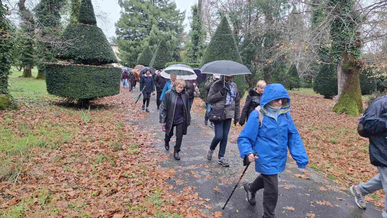 Marche d'entretien - Jeudi 20 Nov. du Bois des sources au Déhès.
