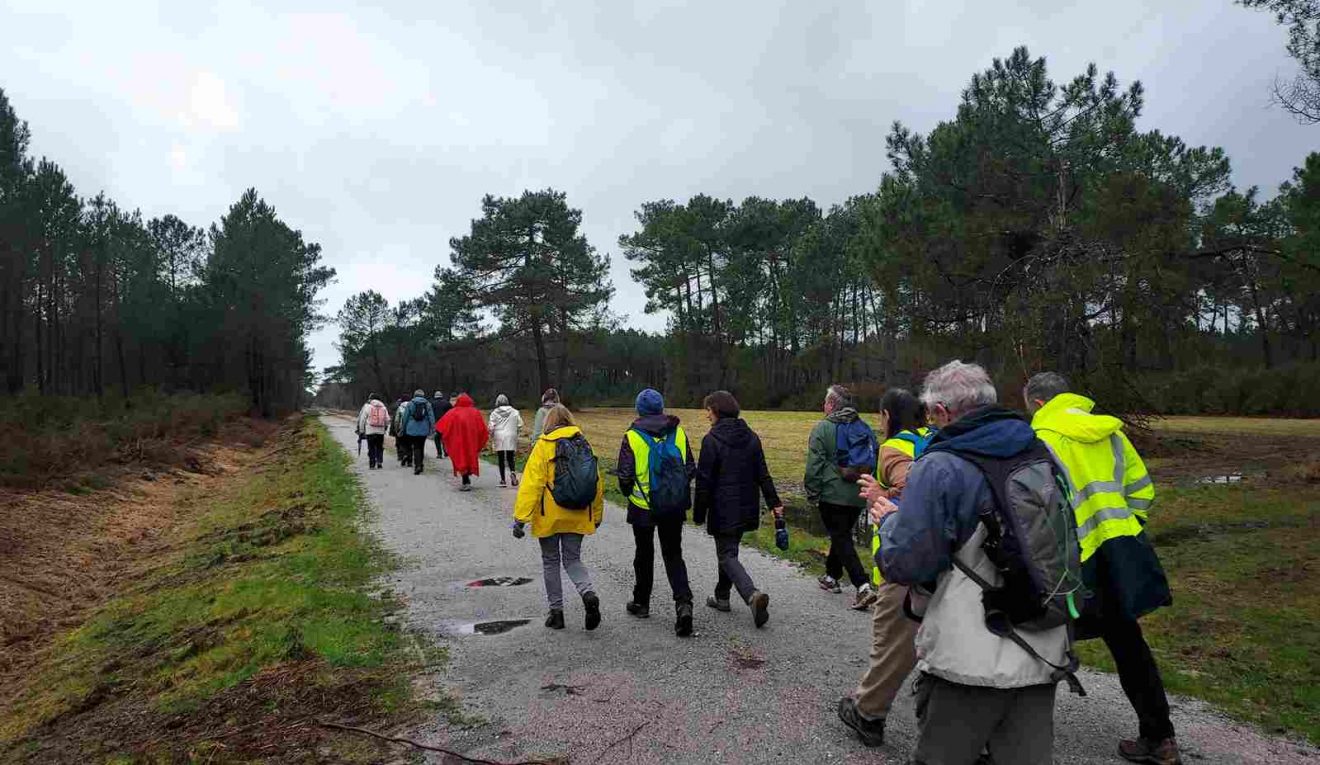 Marche d'entretien du 29 Janvier 26 - Issac secteur des lagunes