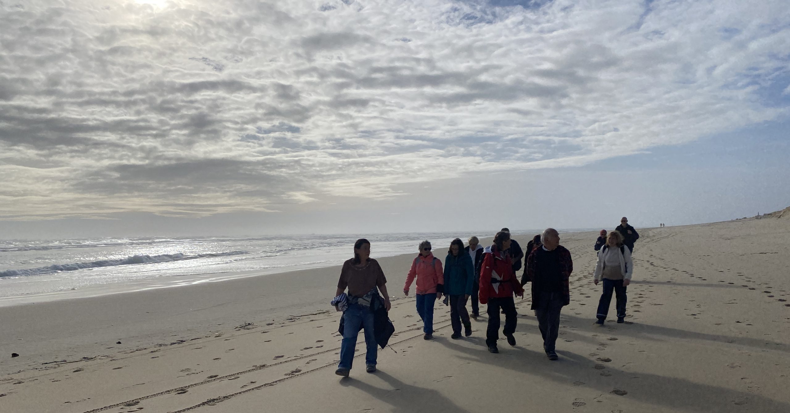 Lire la suite à propos de l’article Marche à la journée du 7 fev. 26 – Cap Ferret