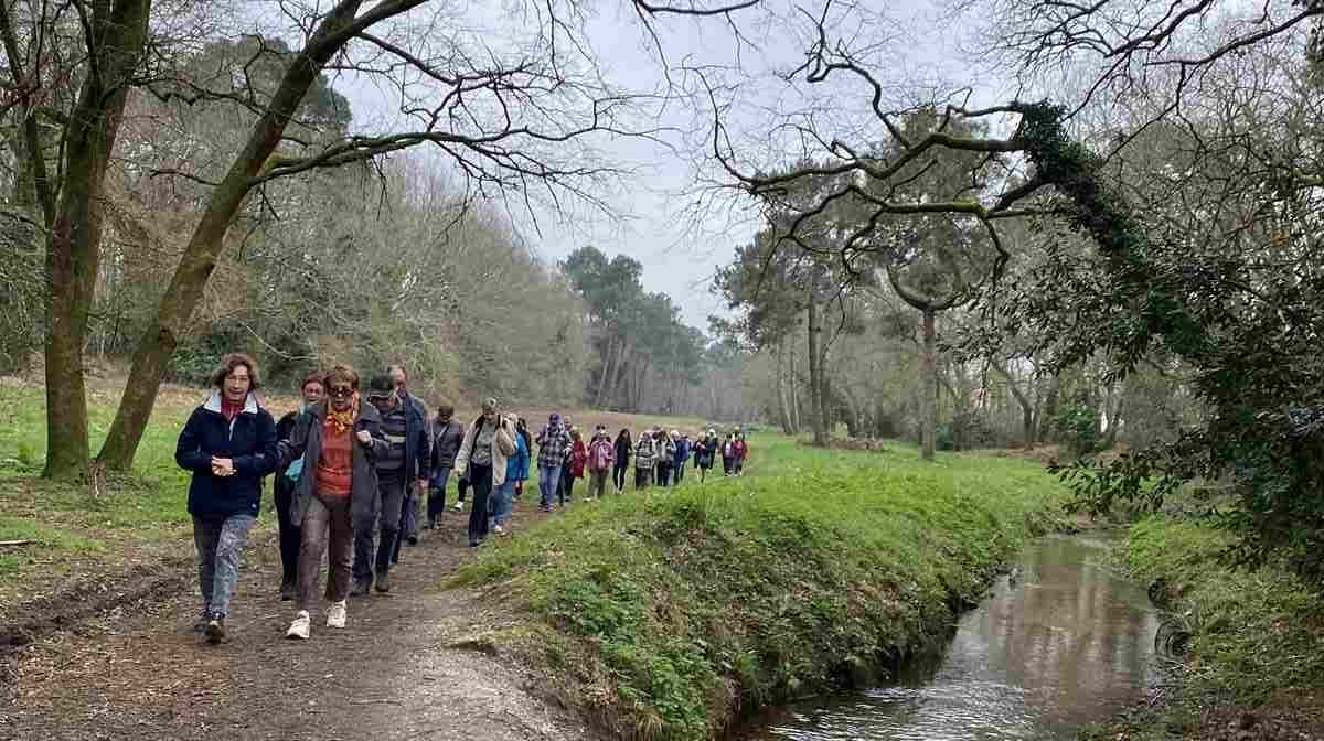 Lire la suite à propos de l’article Marche d&rsquo;entretien du 26 Fev. 26 – de Germignan à St Aubin de Médoc