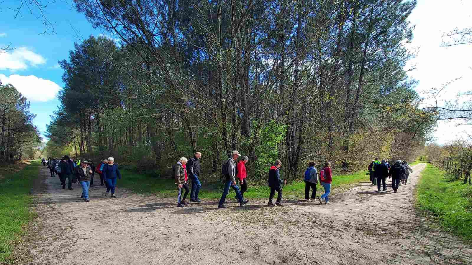 Lire la suite à propos de l’article Marche d&rsquo;entretien du Jeudi 26 Mars – Quartier de Magudas