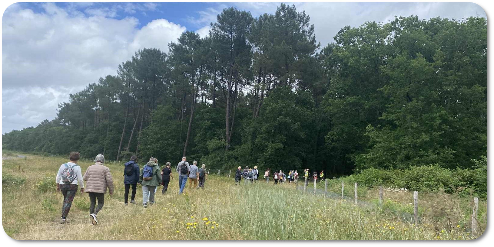 Lire la suite à propos de l’article Forêt du Taillan-Médoc 4 juin 26.