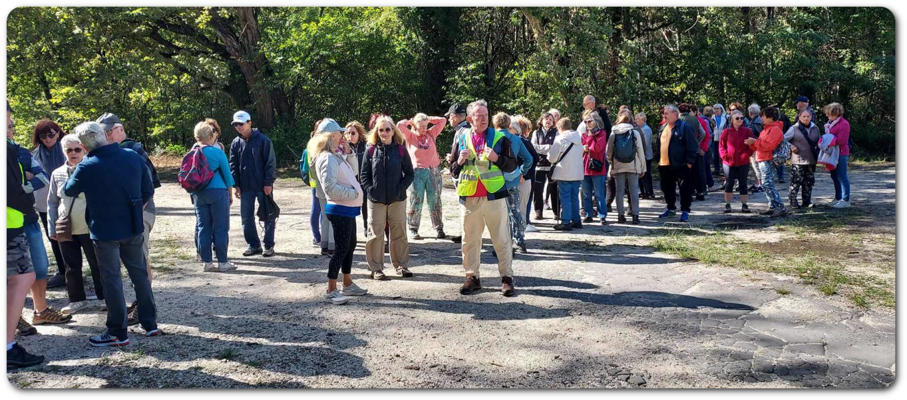 Marche d'entretien du Jeudi 8 Oct. 26