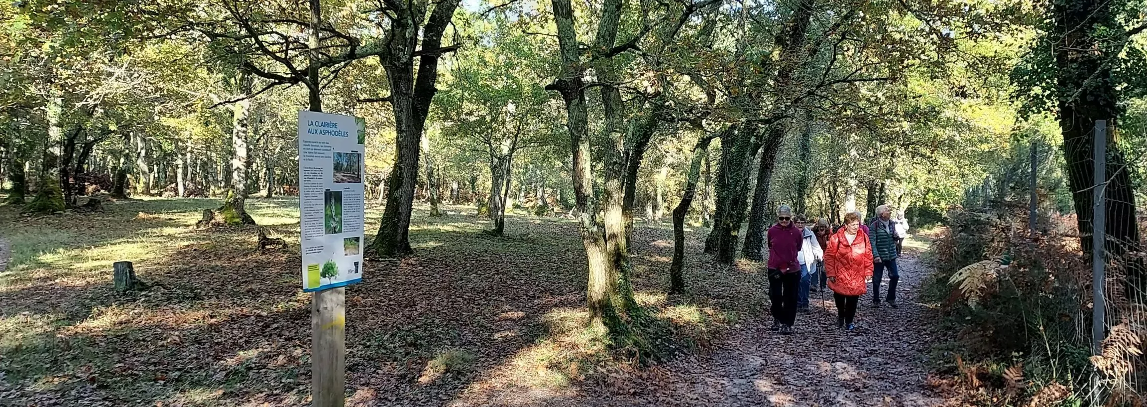 Lire la suite à propos de l’article Bois des sources