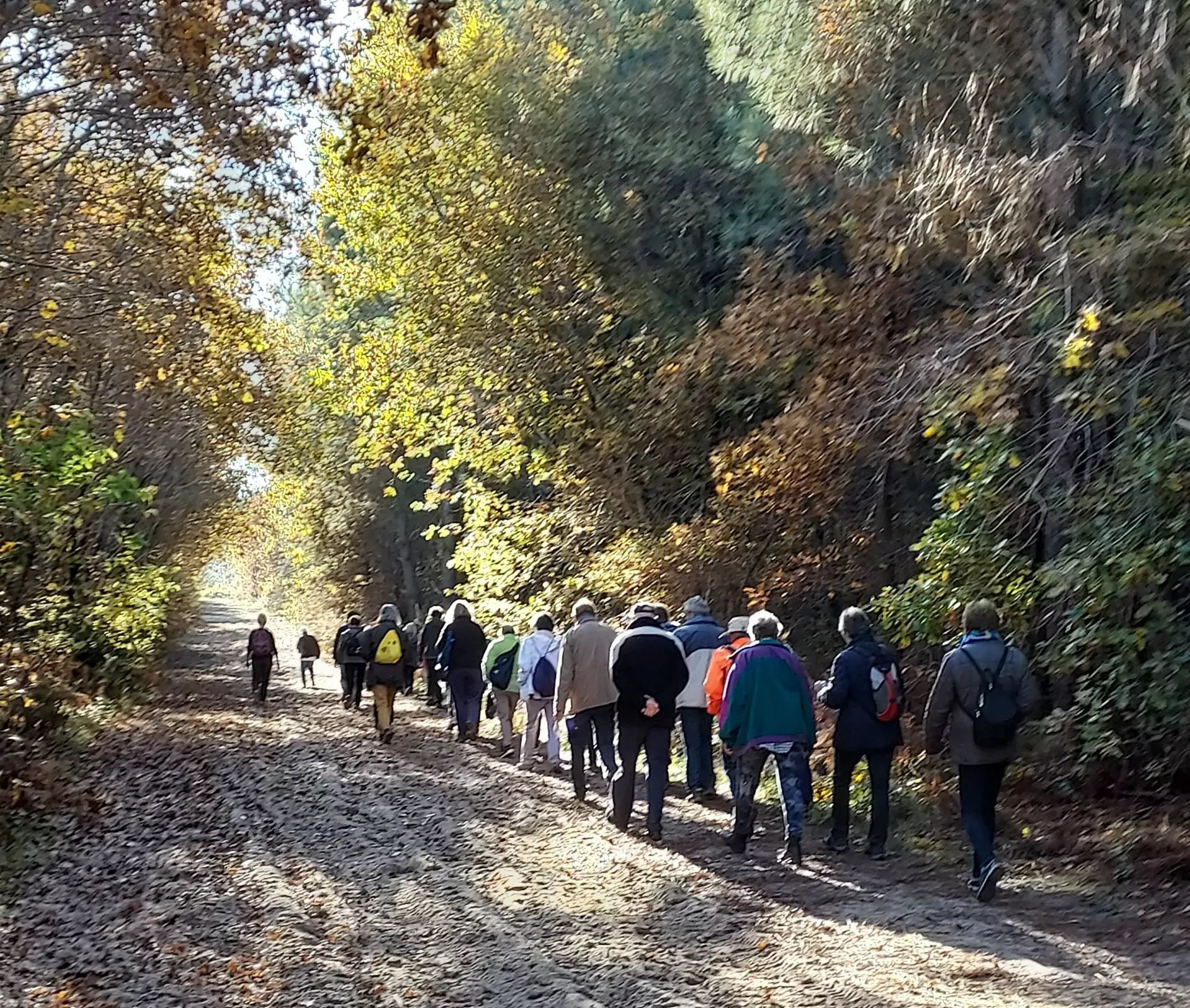 Lire la suite à propos de l’article Bois du Taillan – 18 Nov. 2021