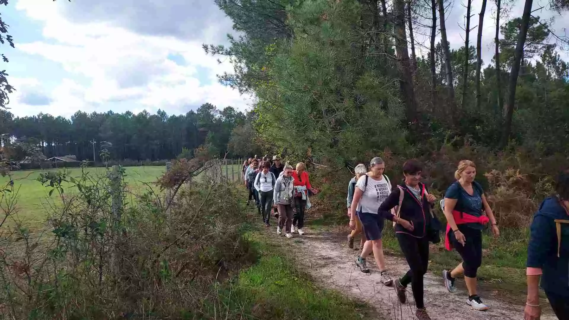 Lire la suite à propos de l’article Marche du 25 Sept. 25 – Les Landes St Aubin du Médoc