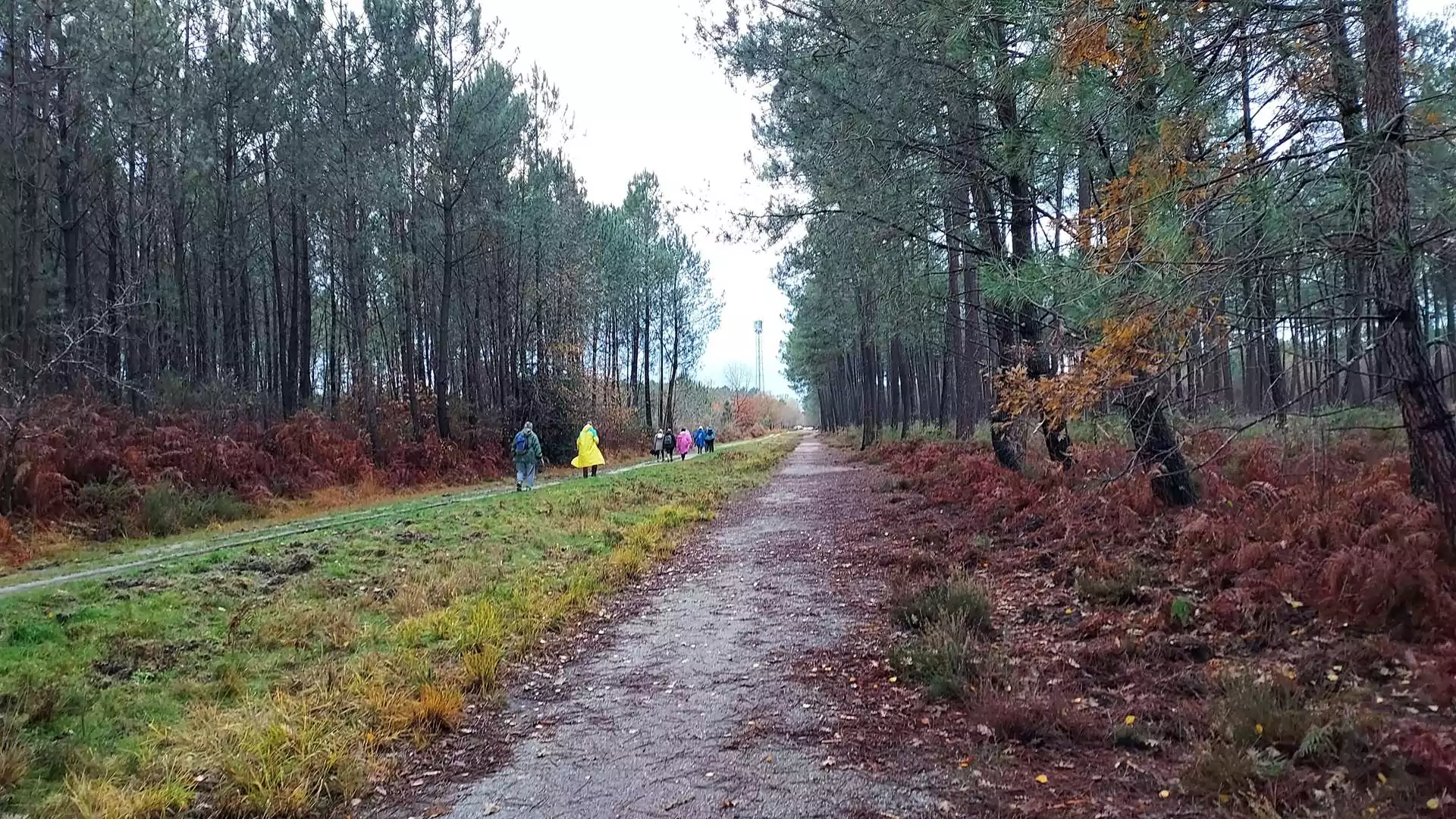 Lire la suite à propos de l’article Marche du 4 Dec. 25 – Issac Sud