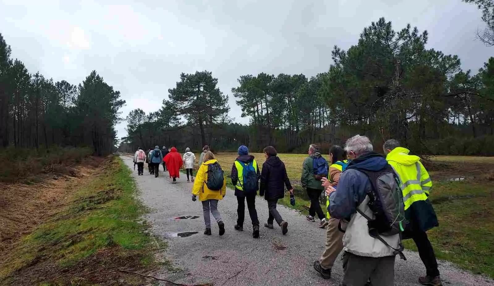 Lire la suite à propos de l’article Marche d&rsquo;entretien du 29 Janvier 26 – Issac secteur des lagunes