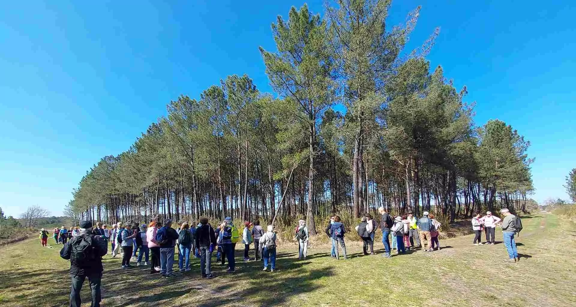 Lire la suite à propos de l’article Marche du Jeudi 19 Mars – Salaunes – Étang du Broustéra