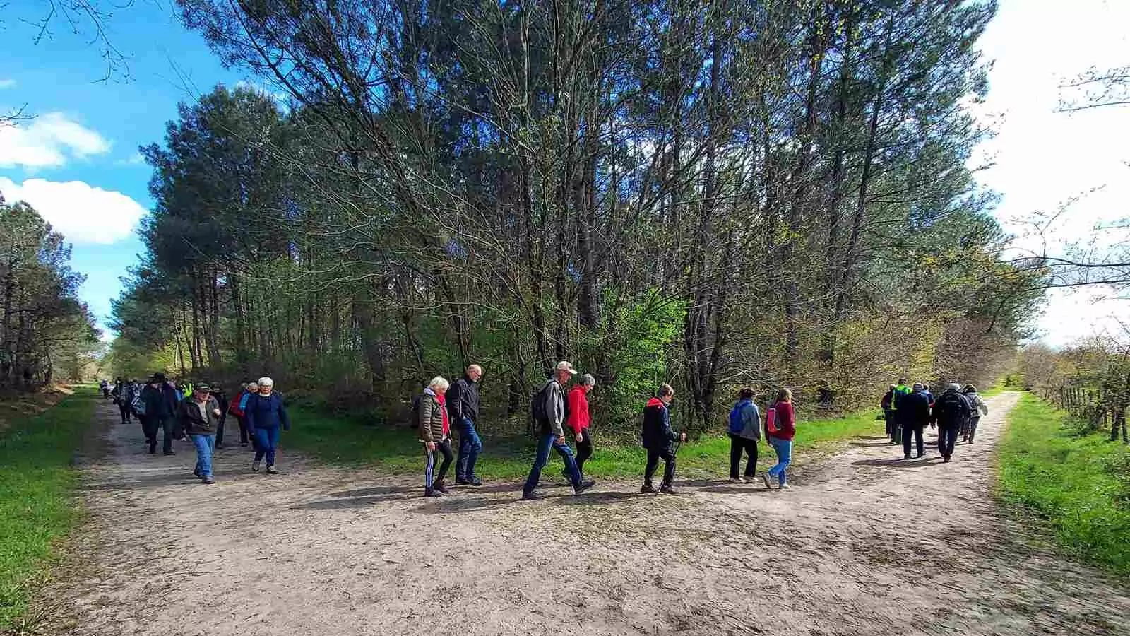 Lire la suite à propos de l’article Marche d&rsquo;entretien du Jeudi 26 Mars – Quartier de Magudas