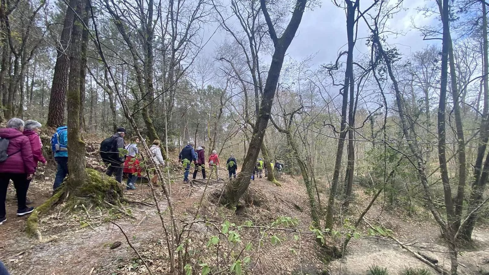 Lire la suite à propos de l’article Marche d&rsquo;entretien du jeudi 2 avril 26 – Jalle & Ruisseau du Guitard