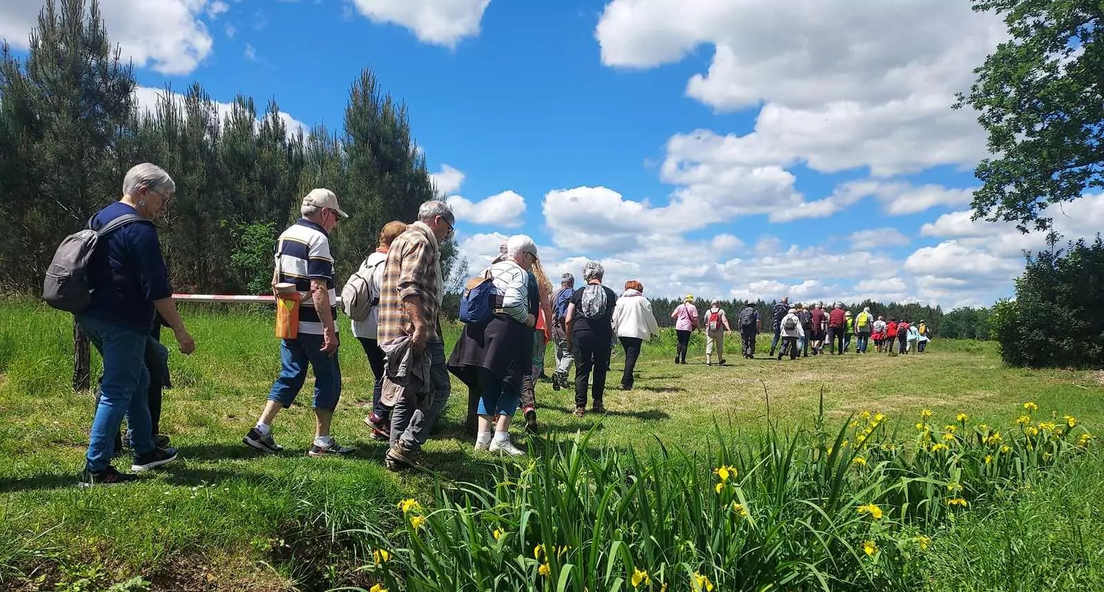 Lire la suite à propos de l’article Marche d&rsquo;entretien – Issac Lagunes – Domaine de Bellecour.