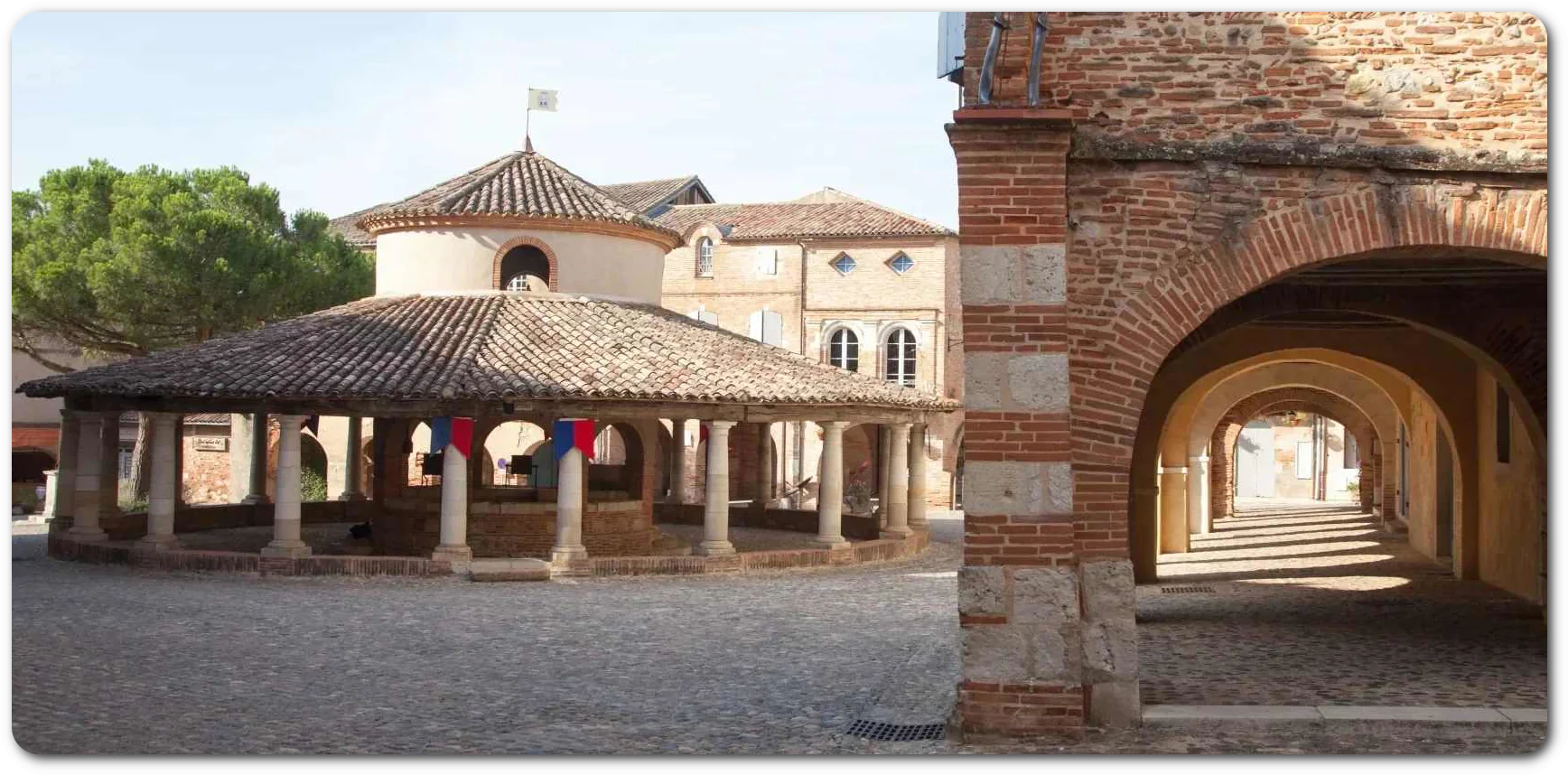 Lire la suite à propos de l’article Retour sur l&rsquo;Excursion en Tarn & Garonne